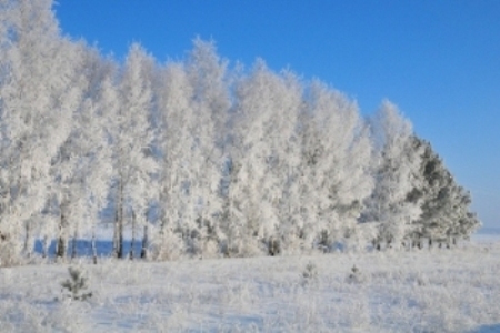 ��������� ��������