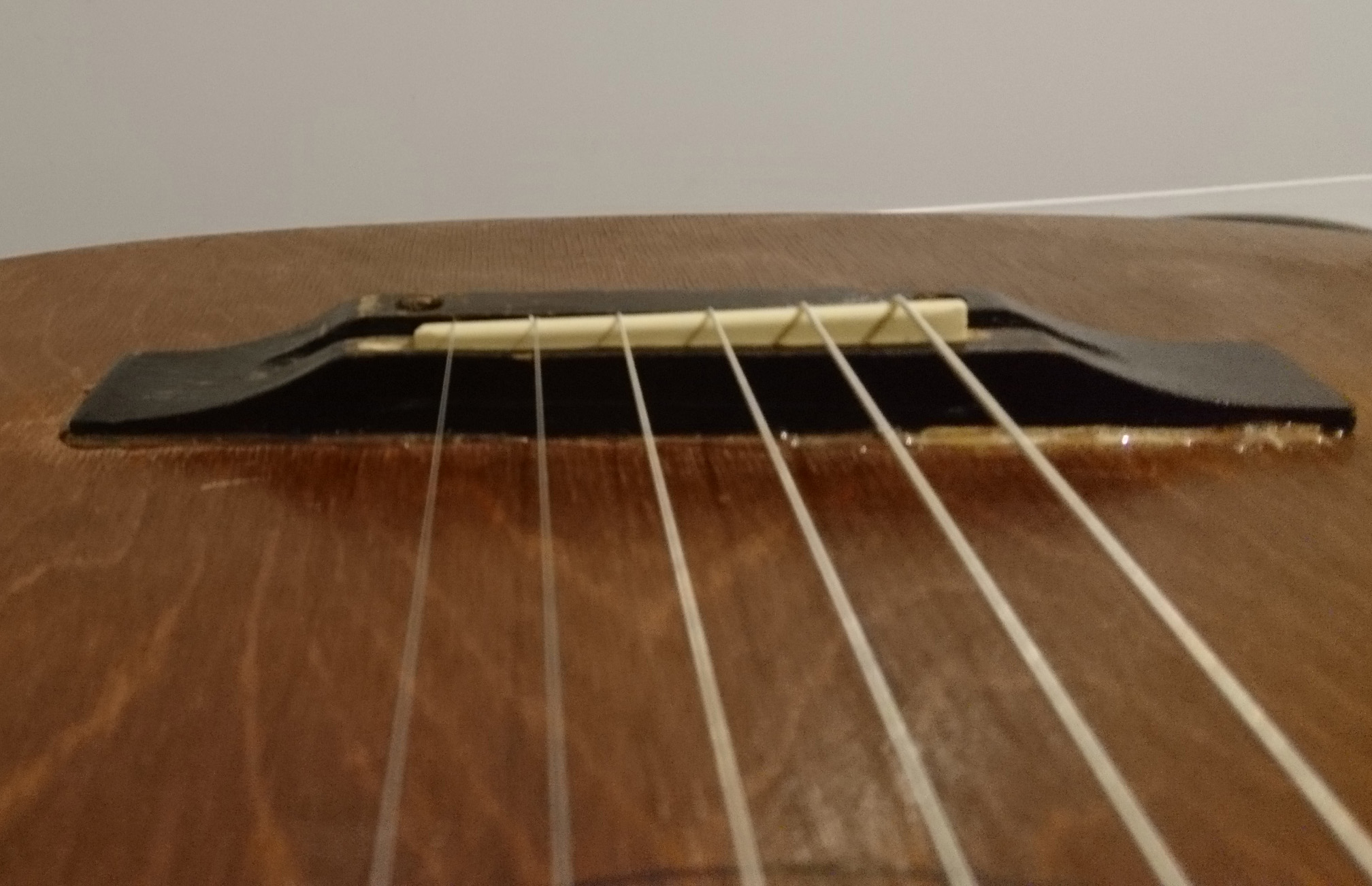 ���� ��������