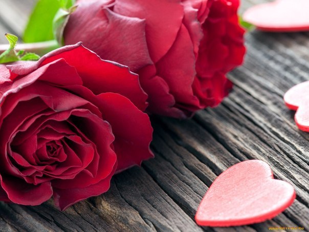 ���� ����