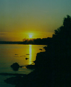 ����������