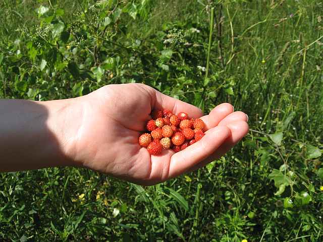 Ирина Ваганова