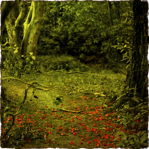 Илзе Зеллинг