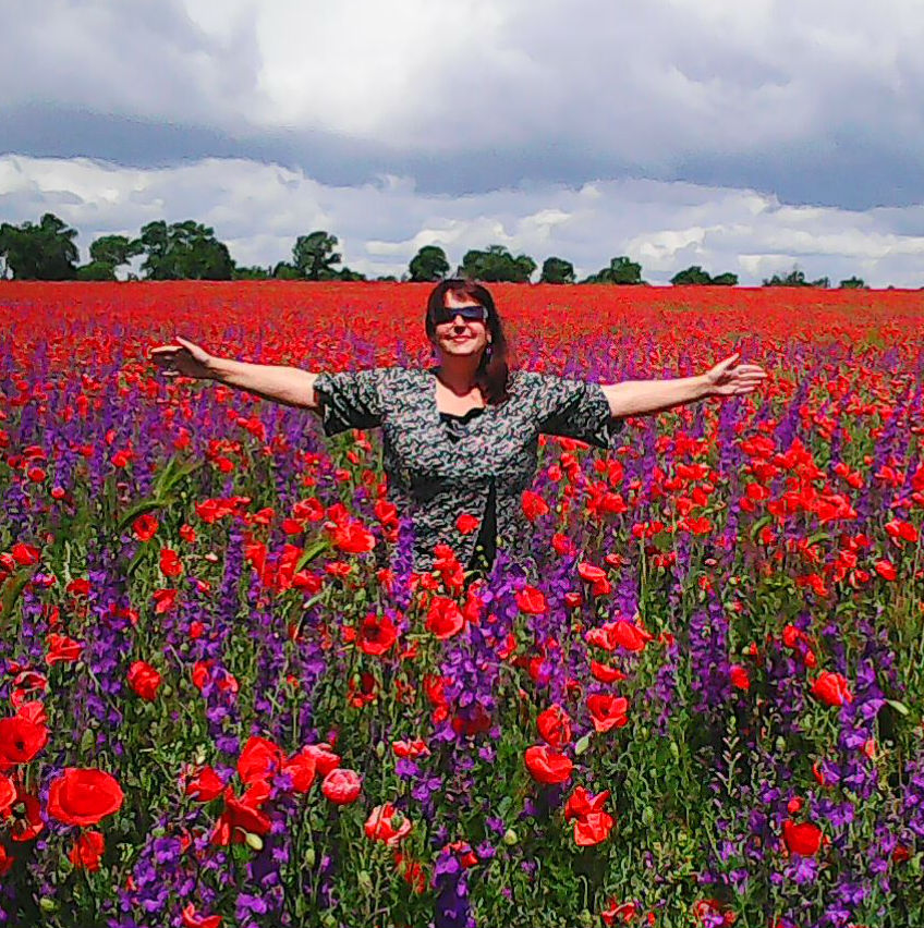 ������ ���������