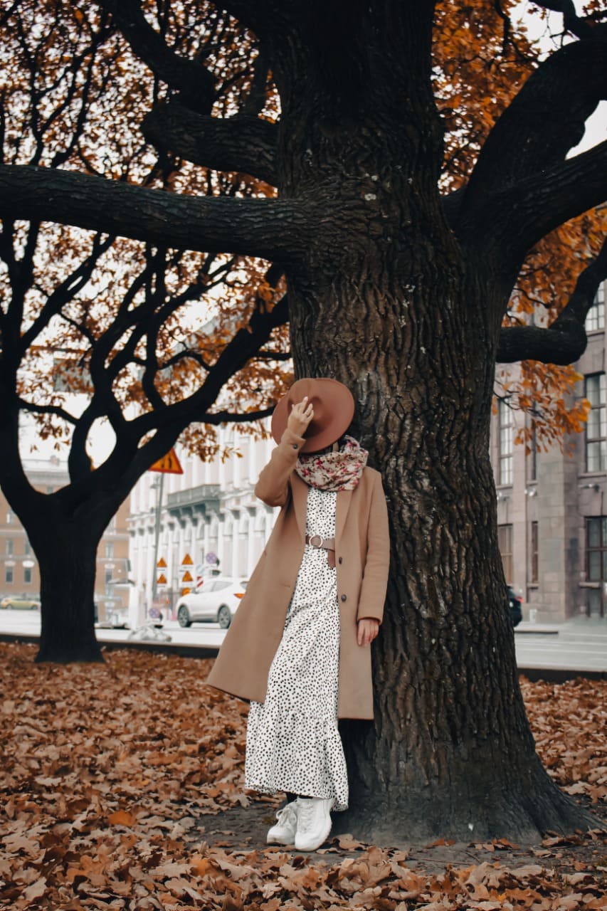 ���� ���