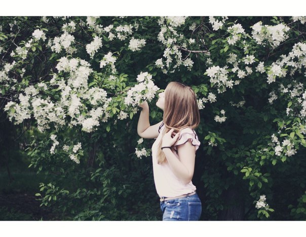 ���� �������