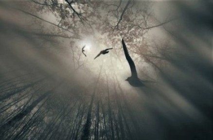 ���� �����