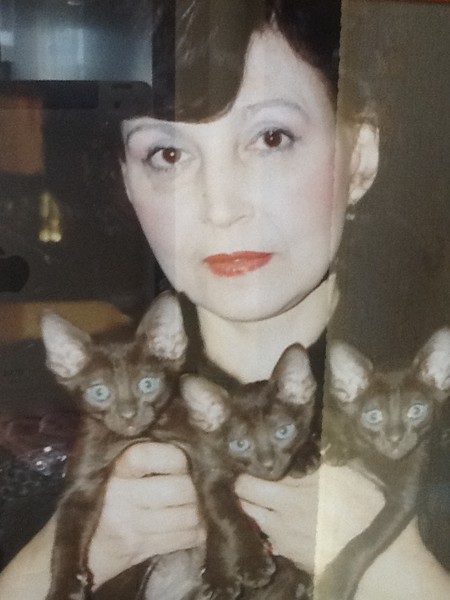 ���� �������