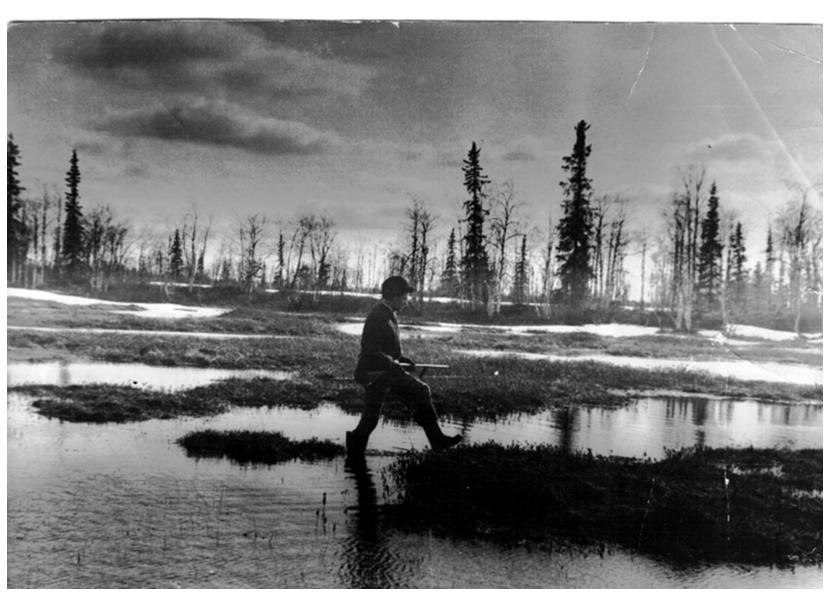 ������ ��������