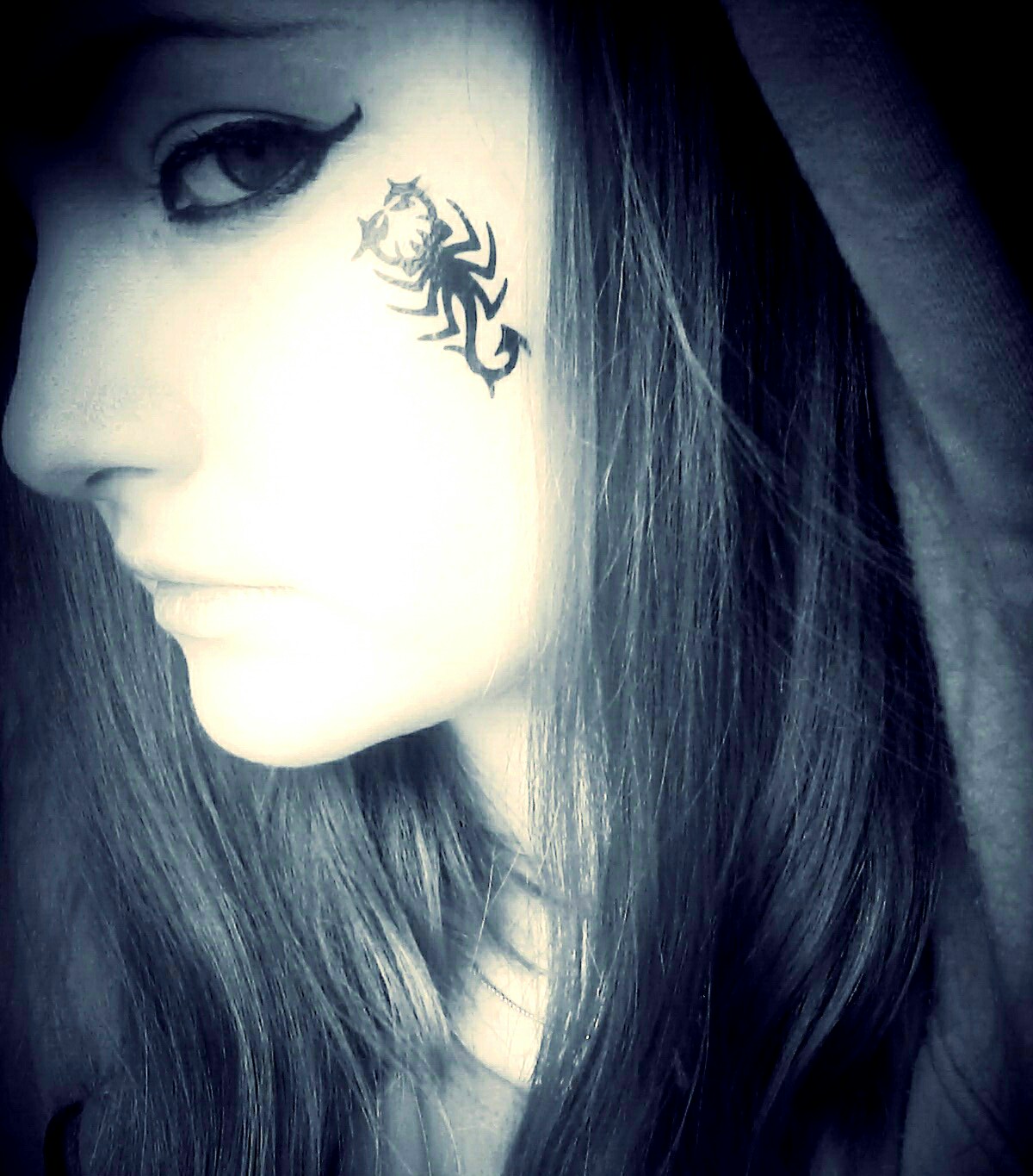 ������ ��������