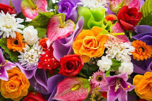 ������������ ���������