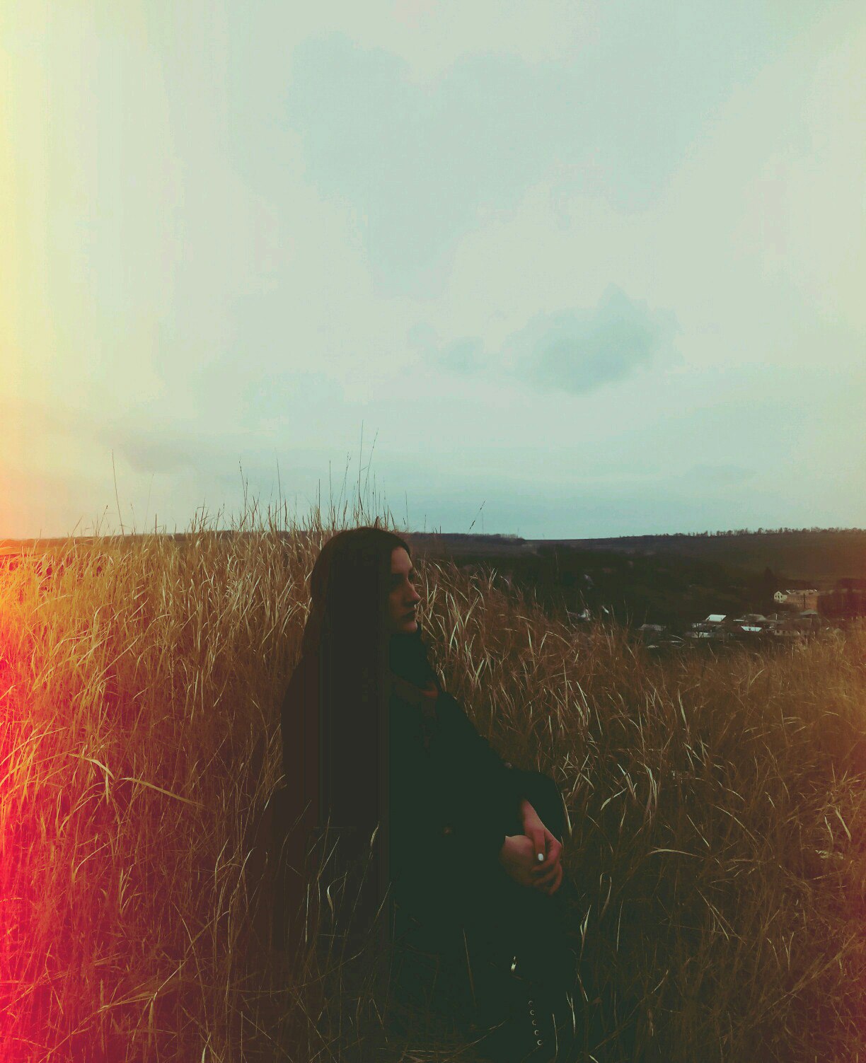 Алла Ипполитова