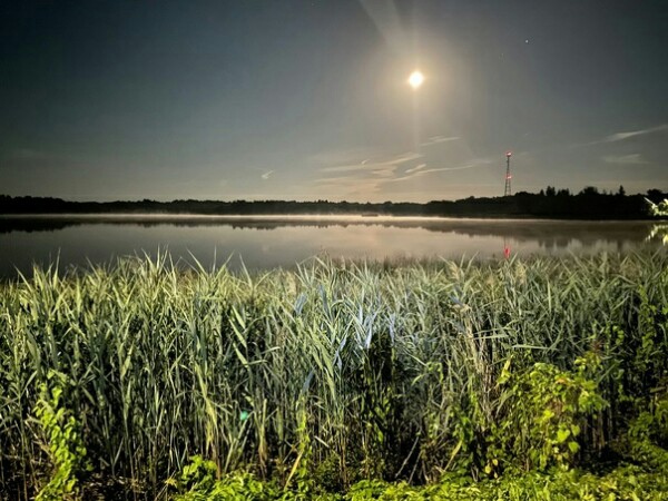 ����� ������������