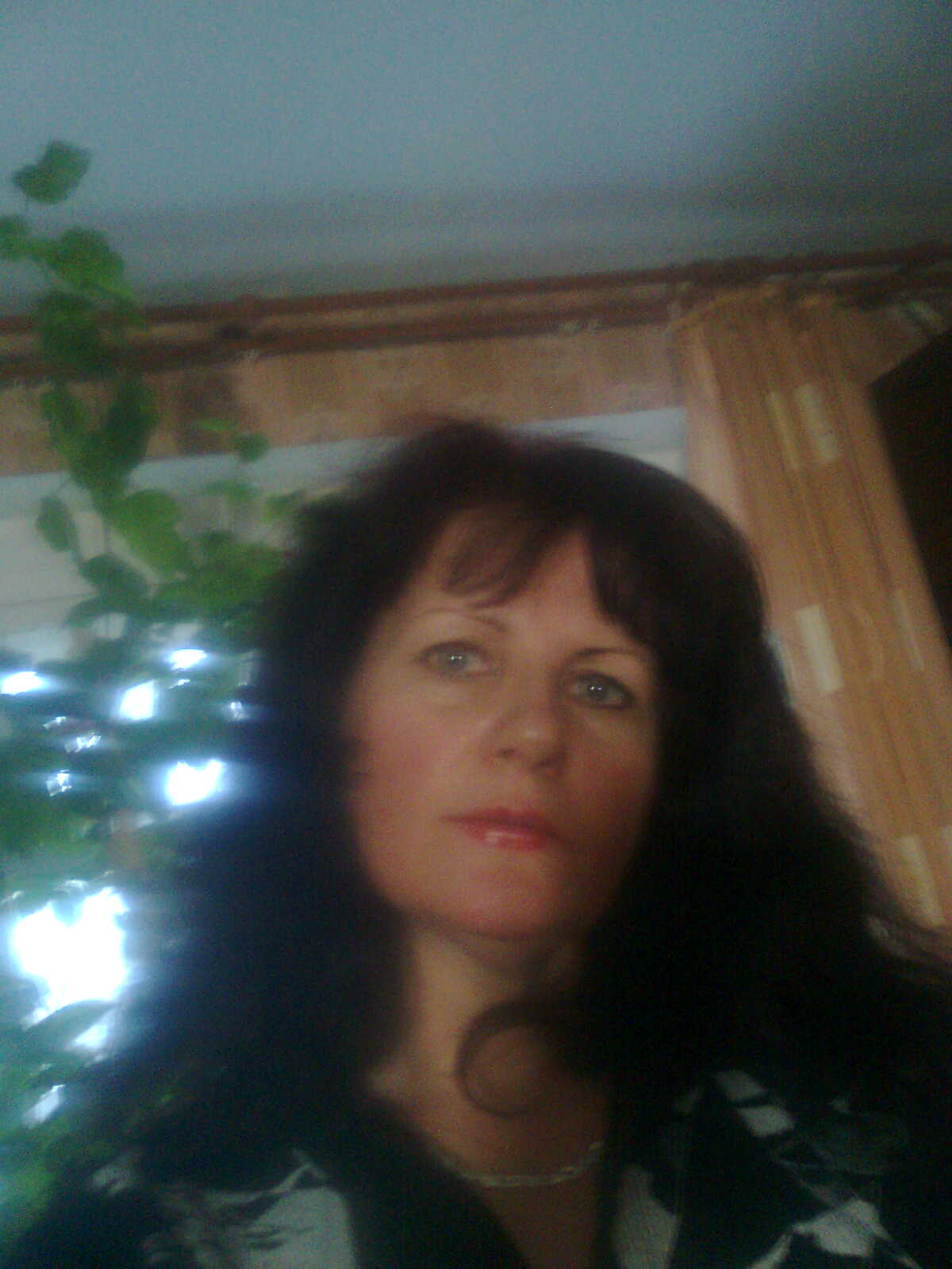 ����� �����������