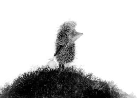 ����� ����