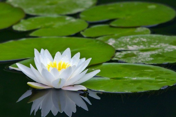 ����� �������� 7