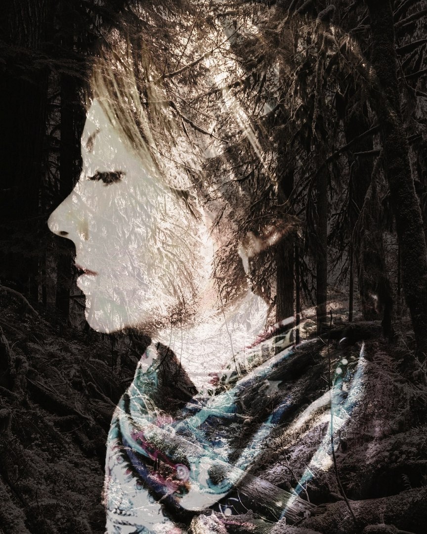 ����� �������