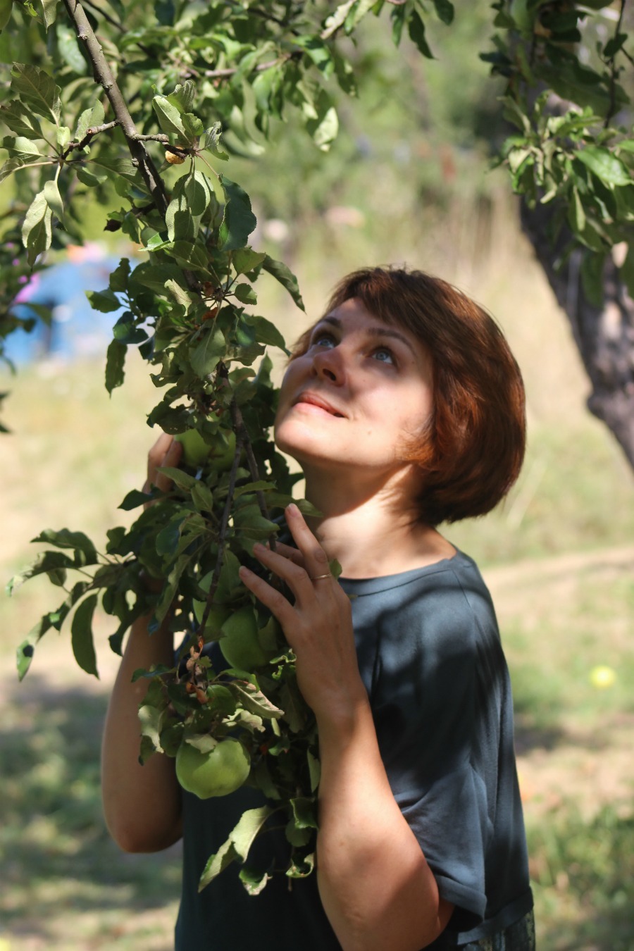 ���� �������� ��������