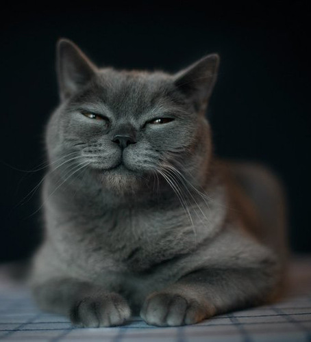 ���� ������