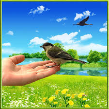 ����� ���������