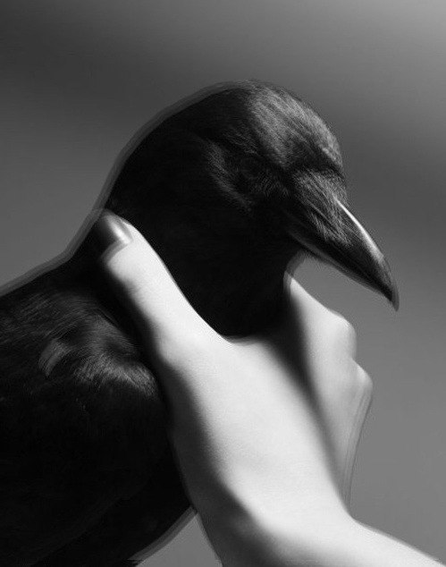 ������� ����