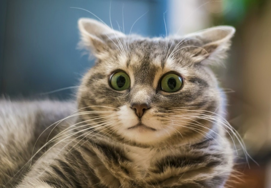 ��������� ������