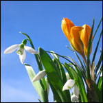 ����� ����������