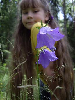 ��� ���������