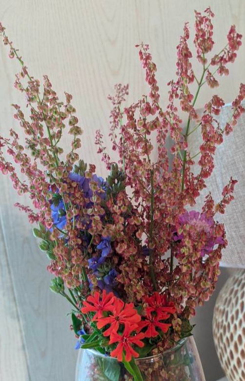 ��������� ���������