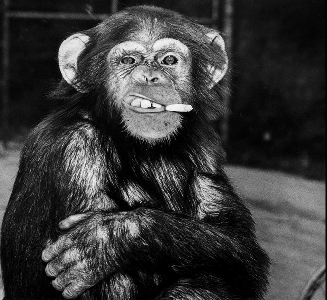 ��������� ������