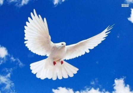 Иван Полынин