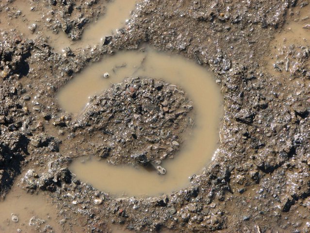 ���� ����