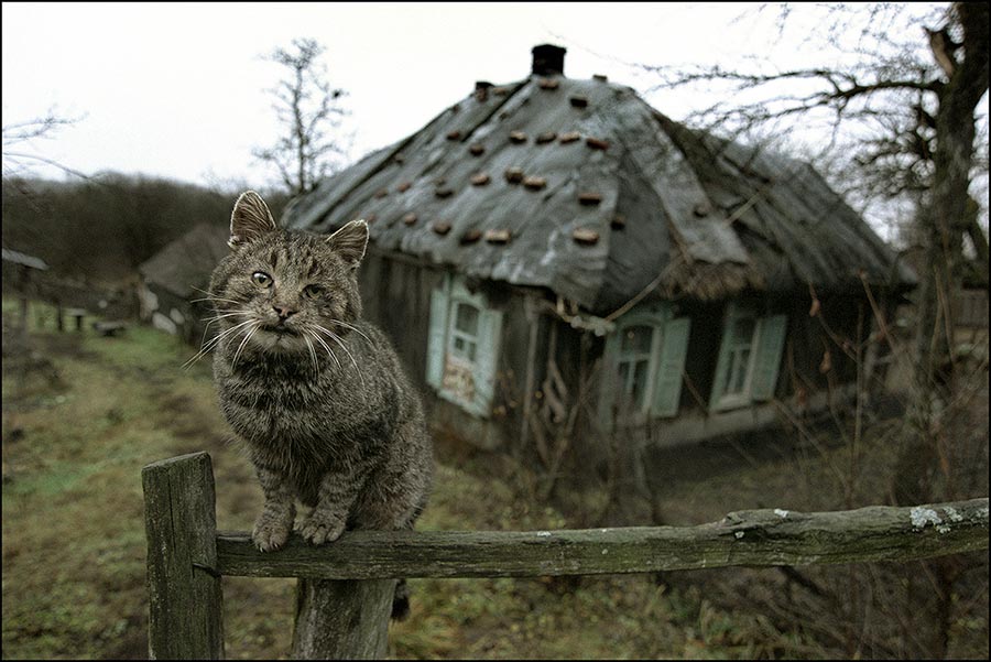 ���� ��������