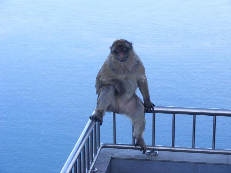 ���� �����