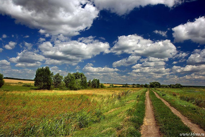 ������ ������