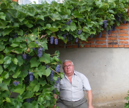 �������� �������� 2