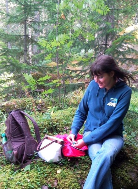 ���� ���������� ���������