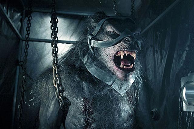 Денис Архипов