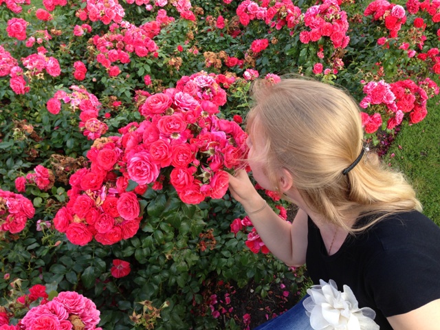 ����� ��������