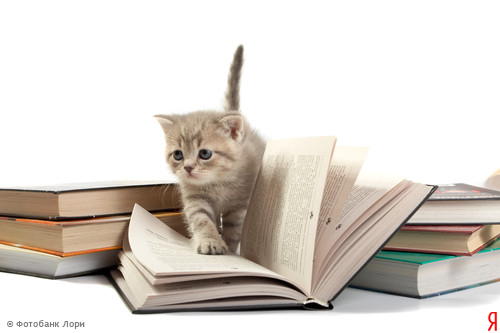 Женя Комилькова