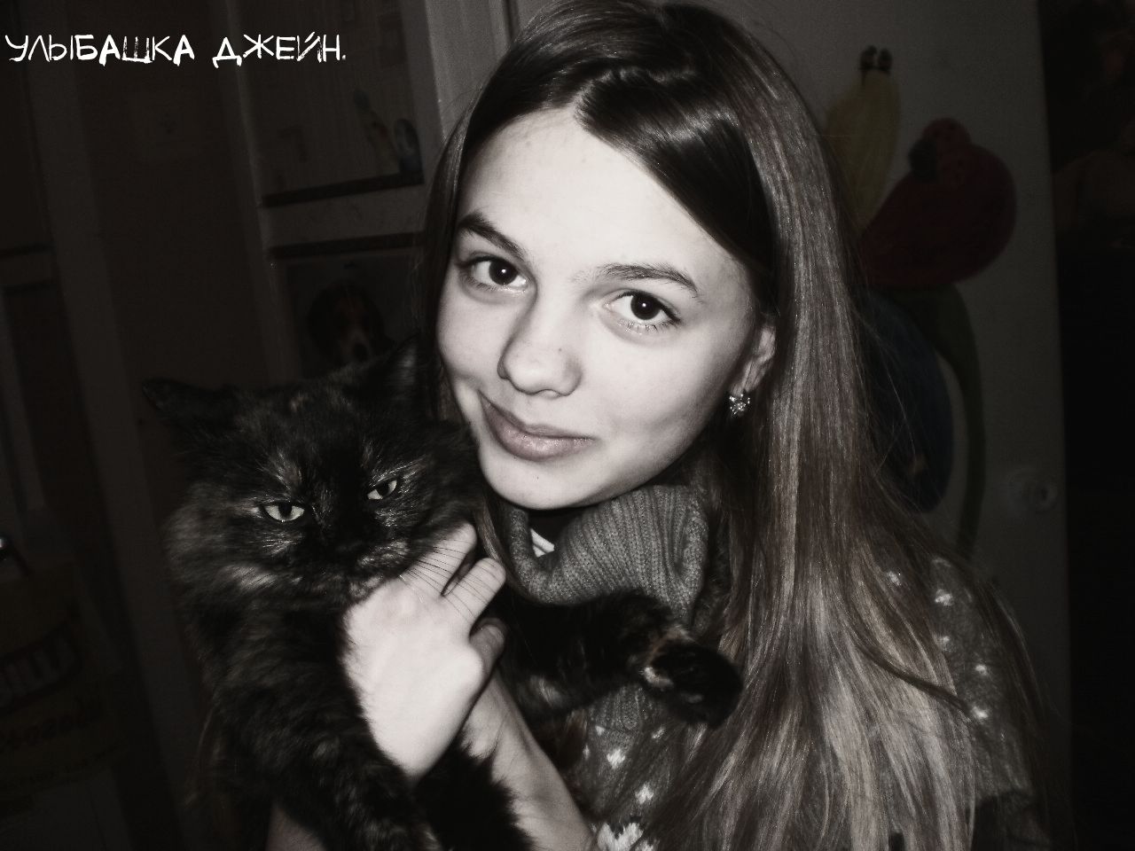 �������� �����