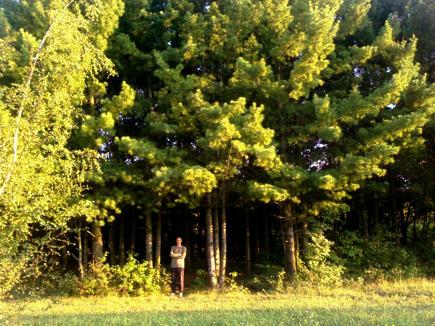 ������ ��������