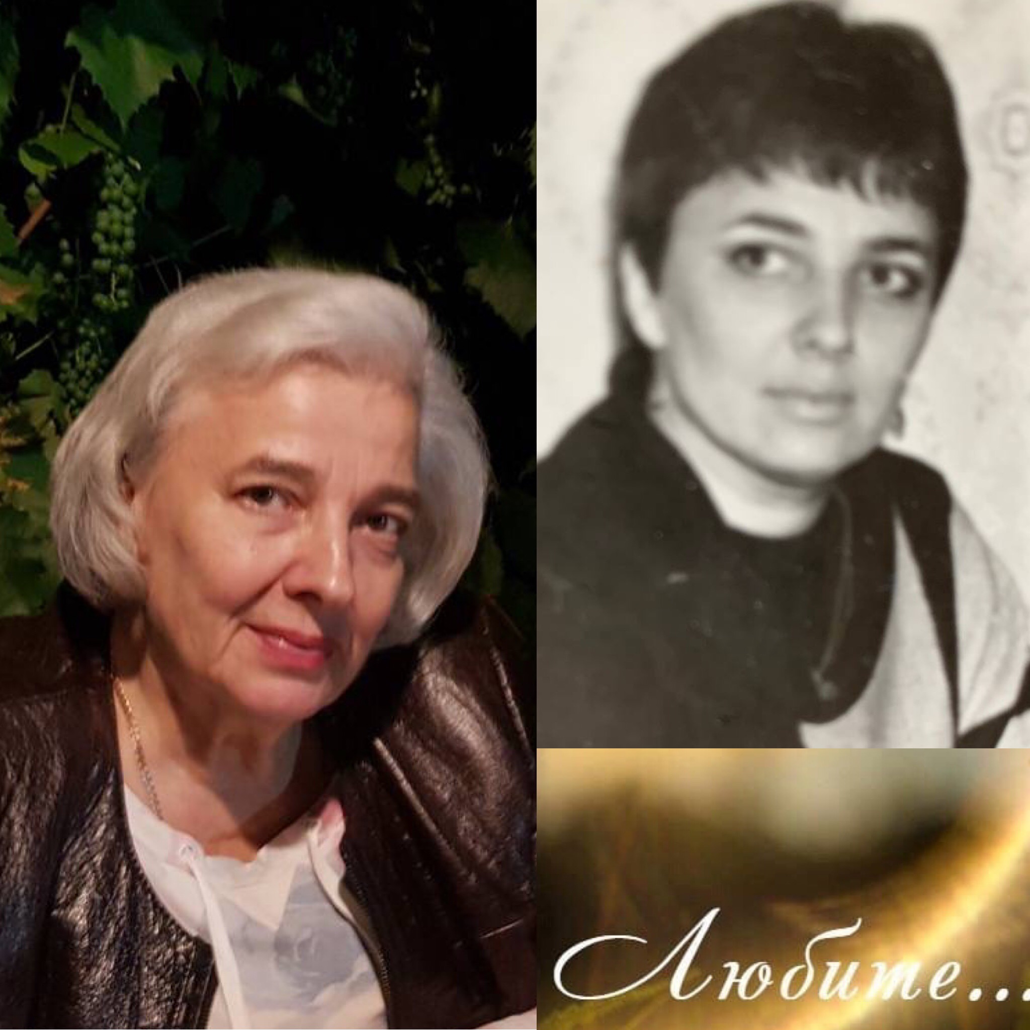 ����� ���������