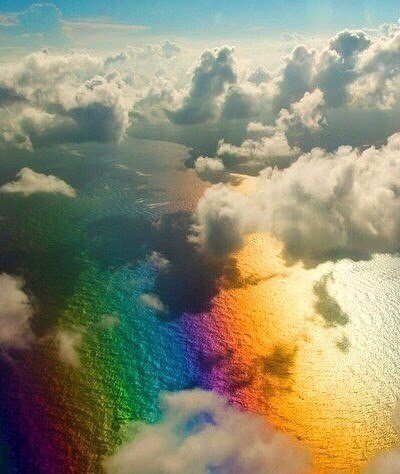 ���� �������