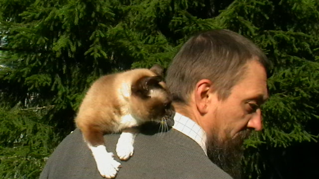 ������ �������