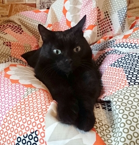 Семен Семеныч Тряпочко