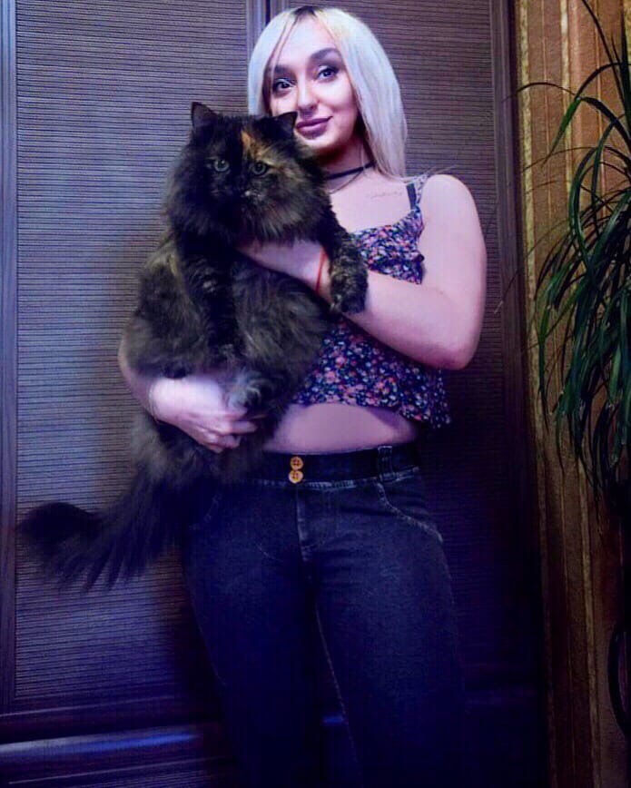 ���� �����