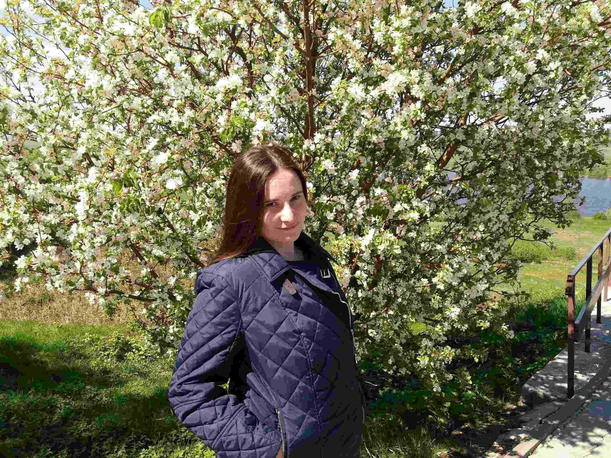 �������� ����