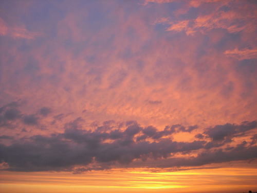 ���� ���������