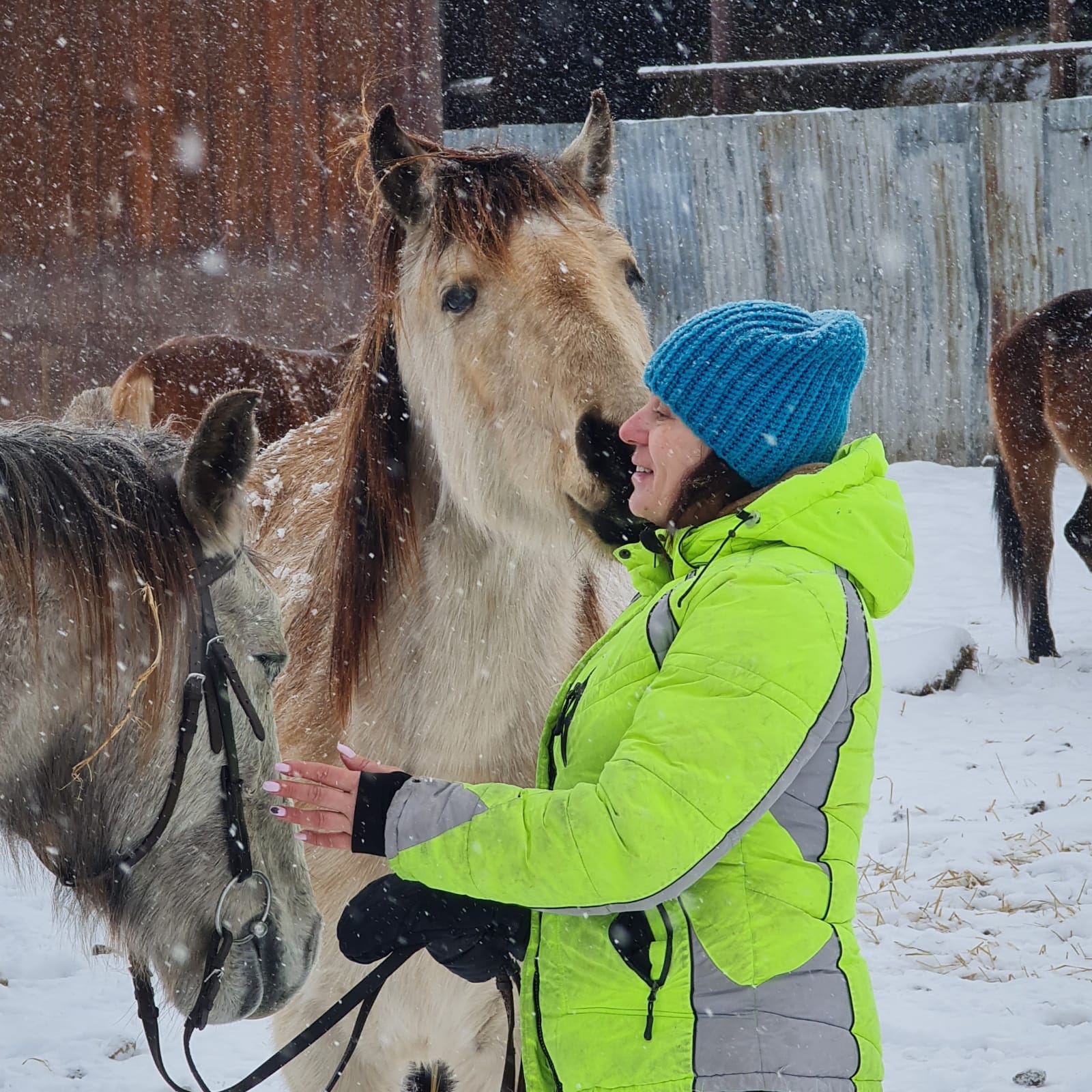 Юлия Голик-Морозова