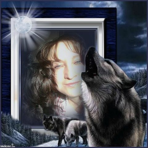 �������� ����